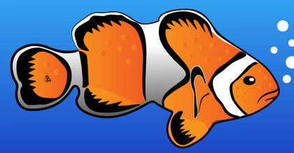 Clownfish Vector Image
