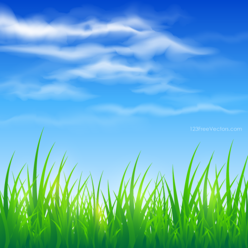 Blue Sky and Green Grass Background