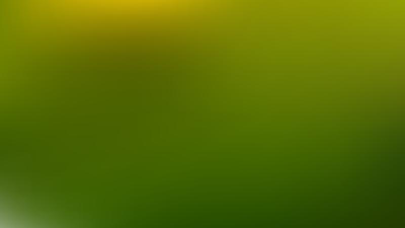 Dark Green Blurry Background Vector Art