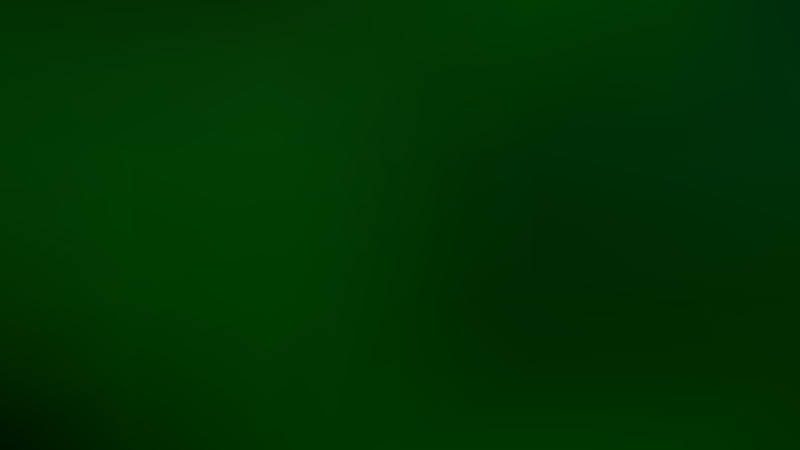Dark Green Blurred Background Vector Image