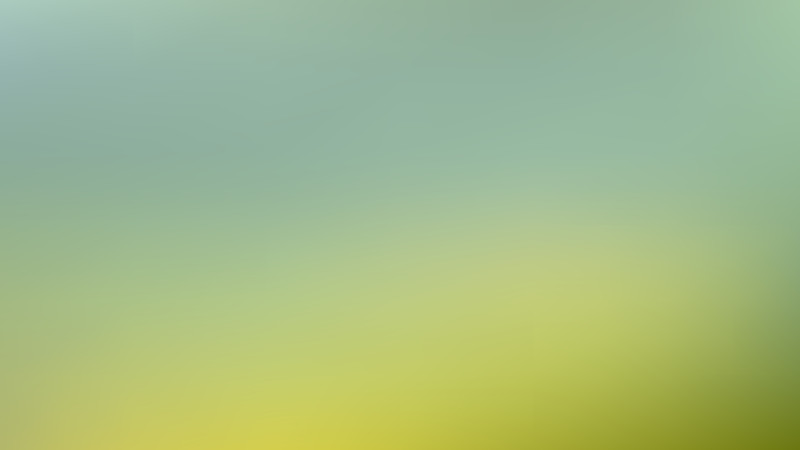 Light Green Blur Photo Wallpaper