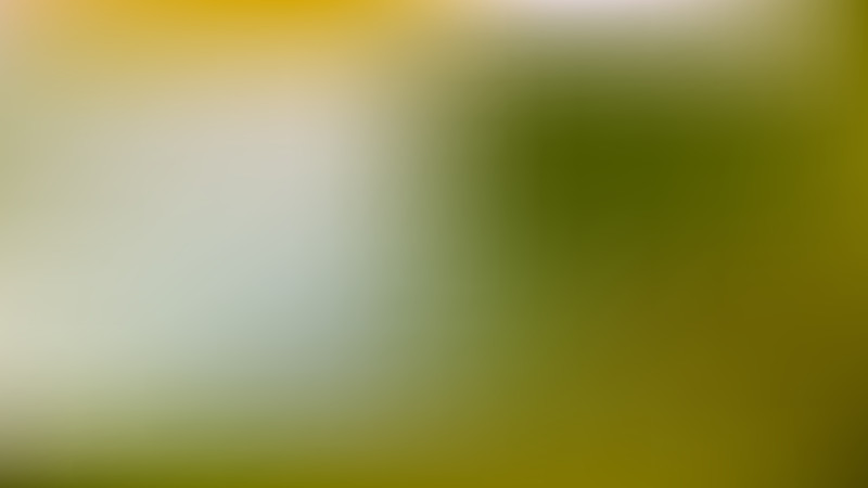 Light Green Photo Blurred Background