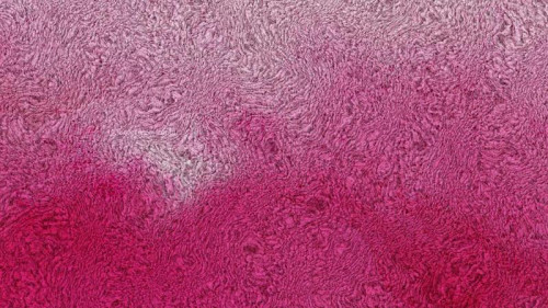 Pink and Grey Woolen Texture Background