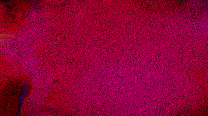 Pink and Red Plush Wool Carpet Texture