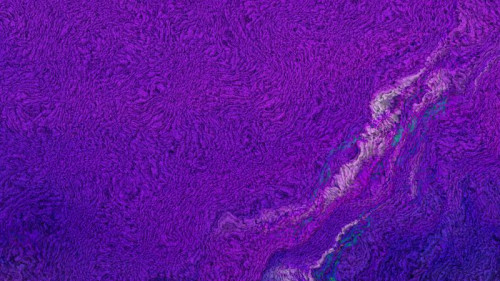 Violet Tweed Wool Background Texture
