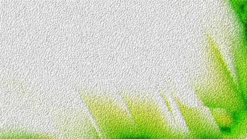Green and White Leather Texture