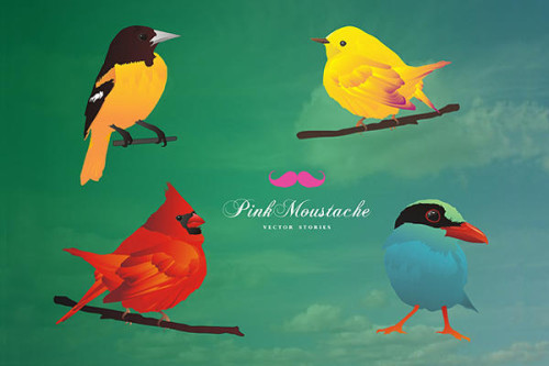 Free Vector Set: Cute Birds Vector Illustration