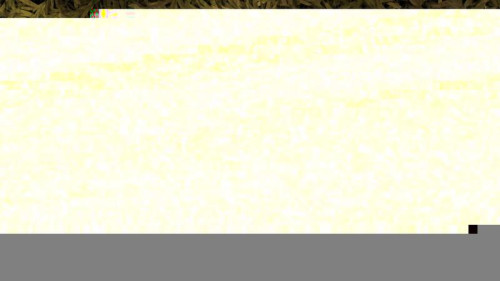 Dark Green Textured Background Image
