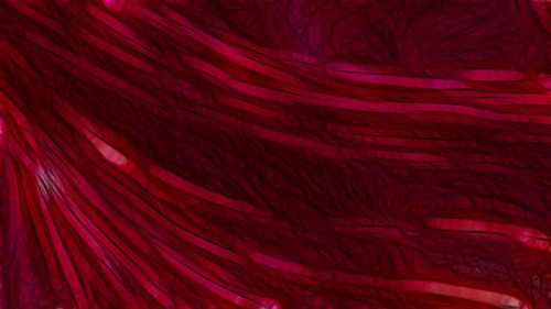 Dark Red Background Texture