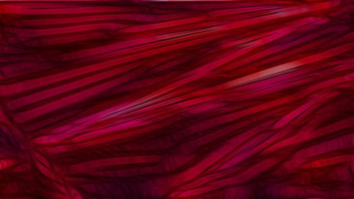 Dark Red Textured Background Image