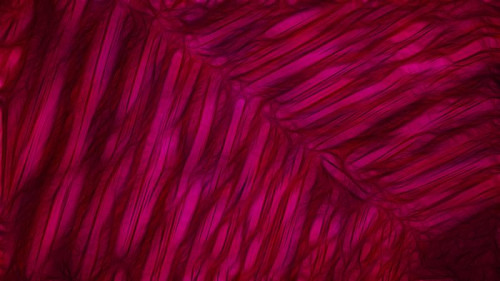 Dark Red Textured Background