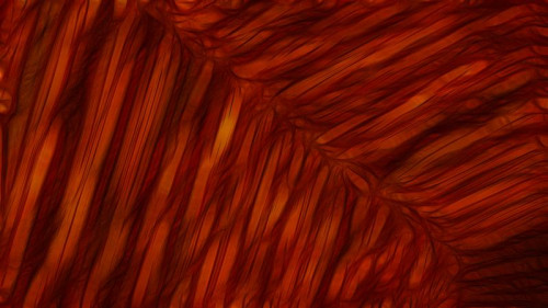 Dark Red Textured Background Image