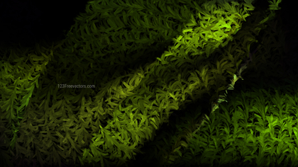 Green and Black Texture Background