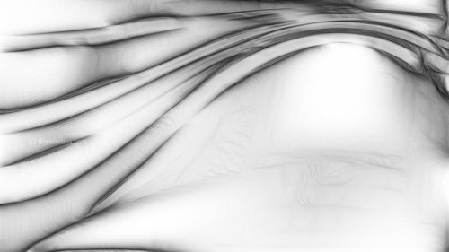 Grey and White Texture Background