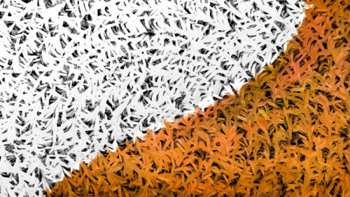 Orange and White Textured Background Image