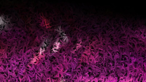Pink and Black Textured Background Image