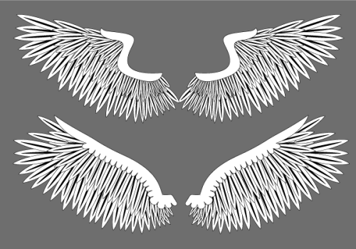 Free Wings Vector Graphics