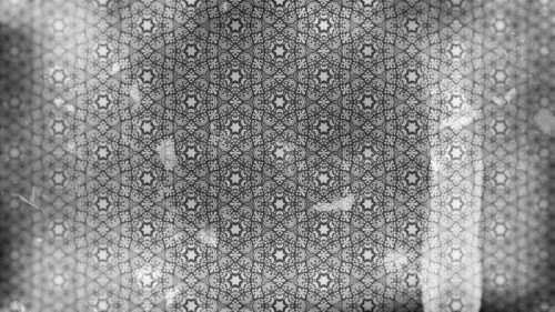 Dark Grey Vintage Ornamental Seamless Pattern Background Design