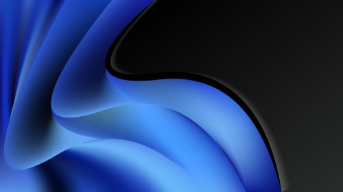 Black and Blue Wave Business Background Vector Illustration