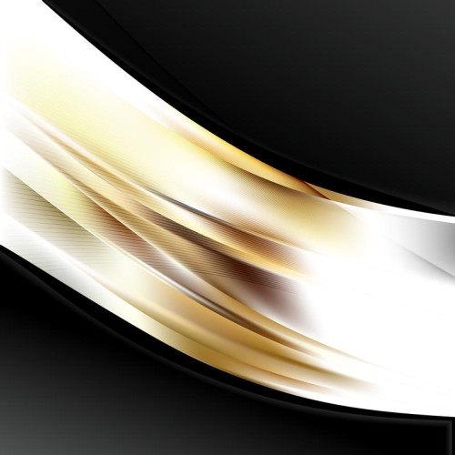 Abstract Brown Black and White Wave Business Background Vector Image