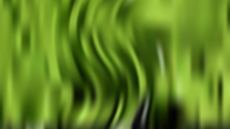Dark Green Photo Blurred Background Design