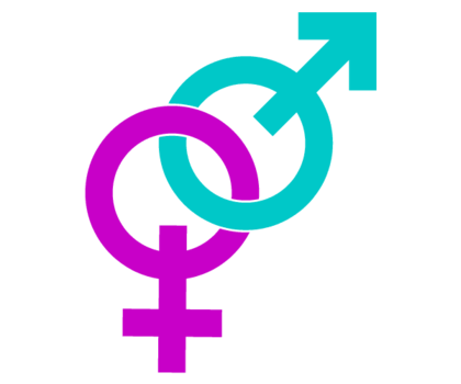 Male and Female Signs Vector Image