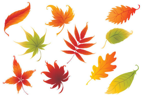 Nine Colorful Leaves Vector Graphics