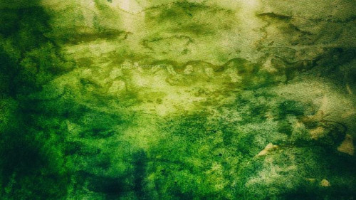 Dark Green Texture Background Image