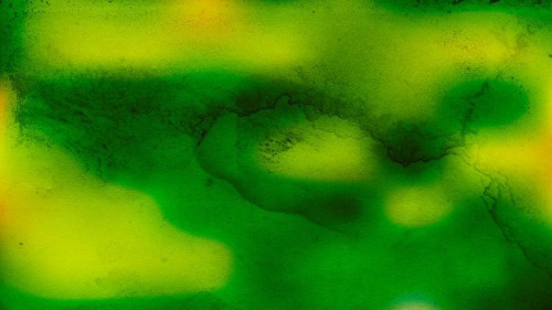 Dark Green Texture Background Image