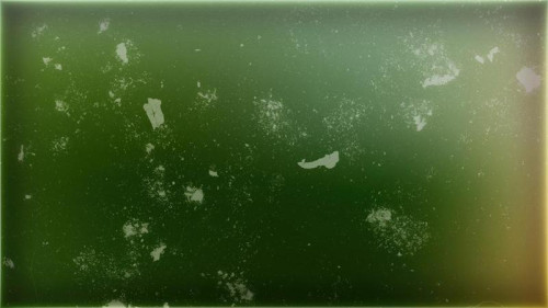Dark Green Background Texture