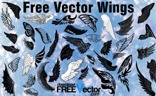 Wings Vector Pack Free Download