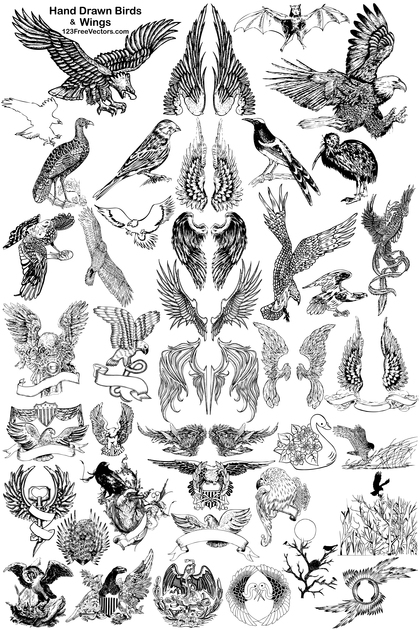 41 Hand Drawn Birds and Wings Vector Pack