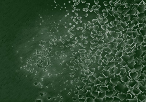 Chalkboard Love Background