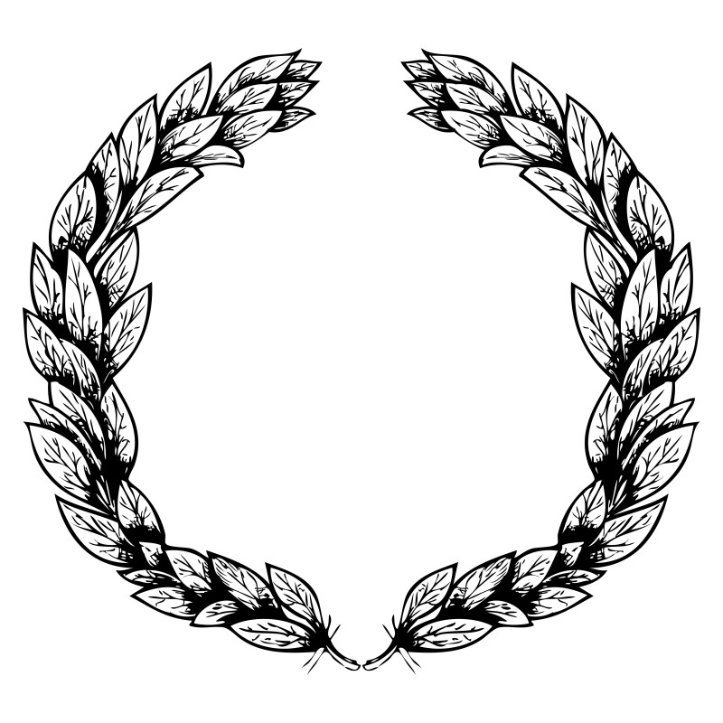 Hand Drawn Plant Image