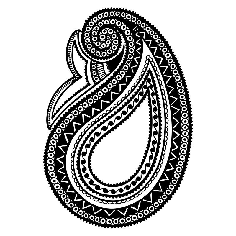 Hand Drawn Paisley Design Vector