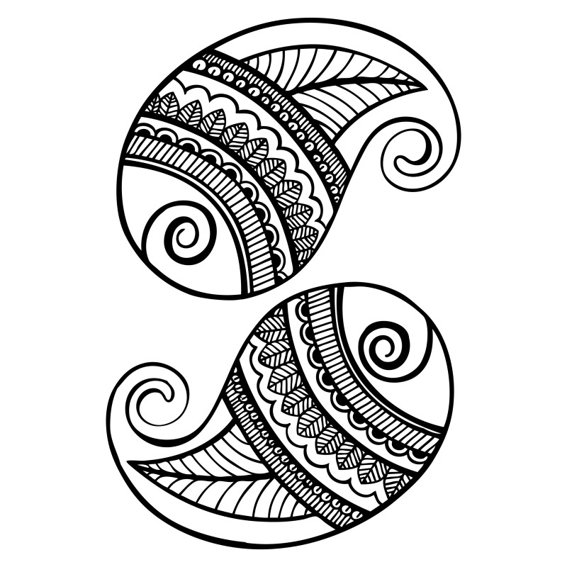 Hand Drawn Paisley Image