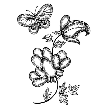 Hand Drawn Butterfly Image
