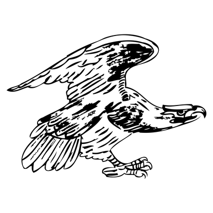 Hand Drawn Eagle Image