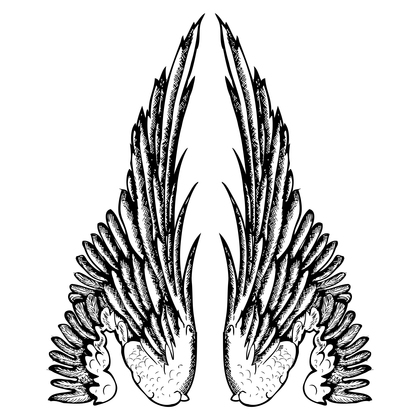 Hand Drawn Wings Image