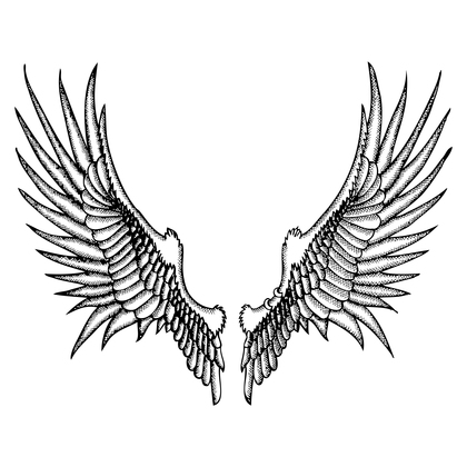 Hand Drawn Wings Image