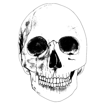Hand Drawn Skull Vector