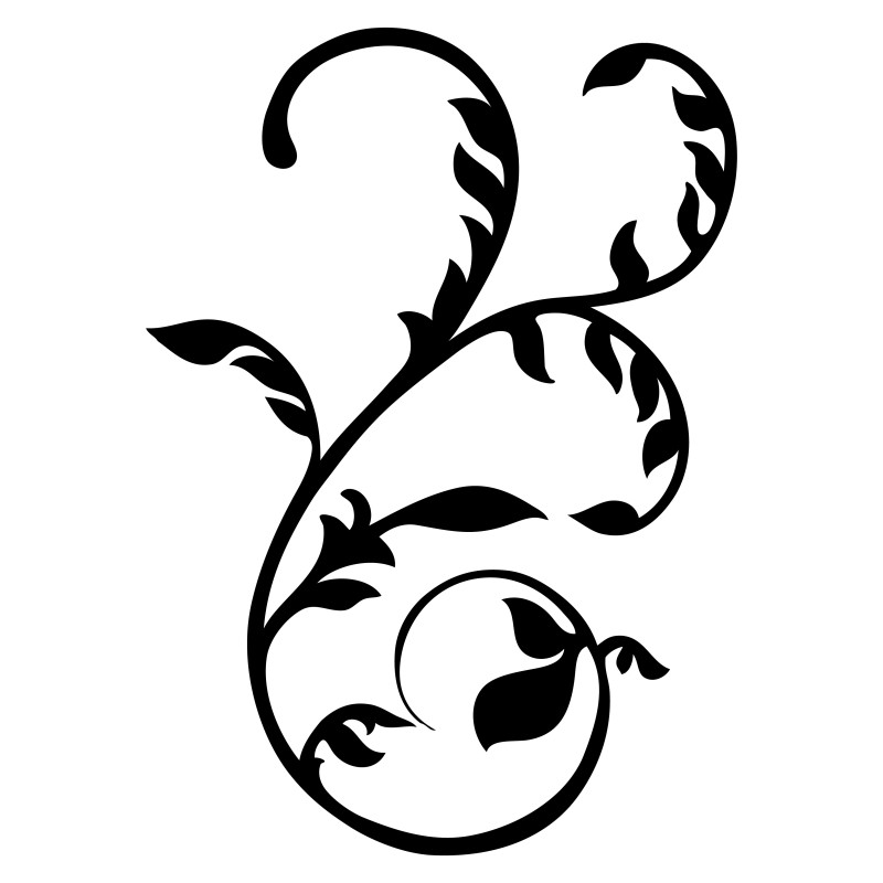 Hand Drawn Floral Design Vector