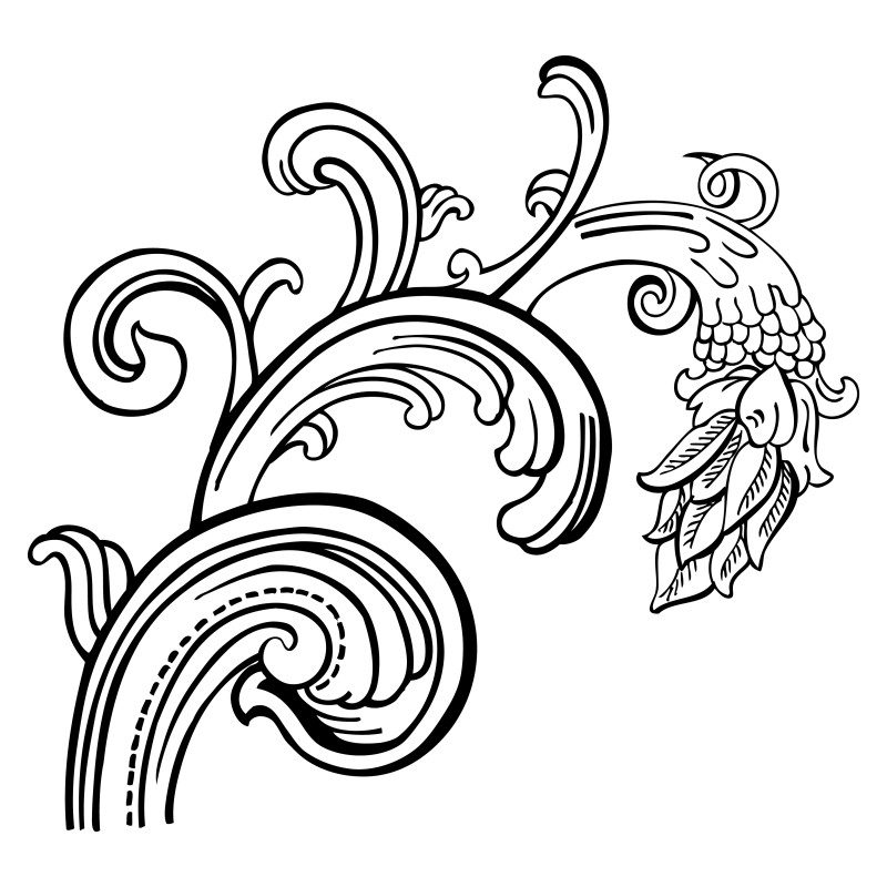 Hand Drawn Floral Design Vector Image
