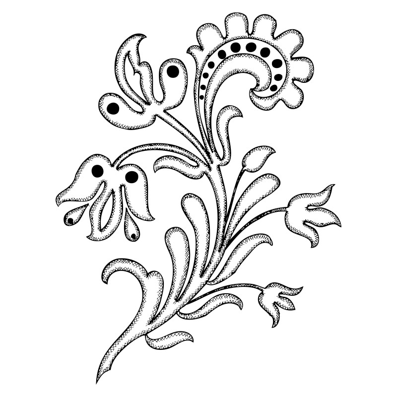 Hand Drawn Floral Vector Image