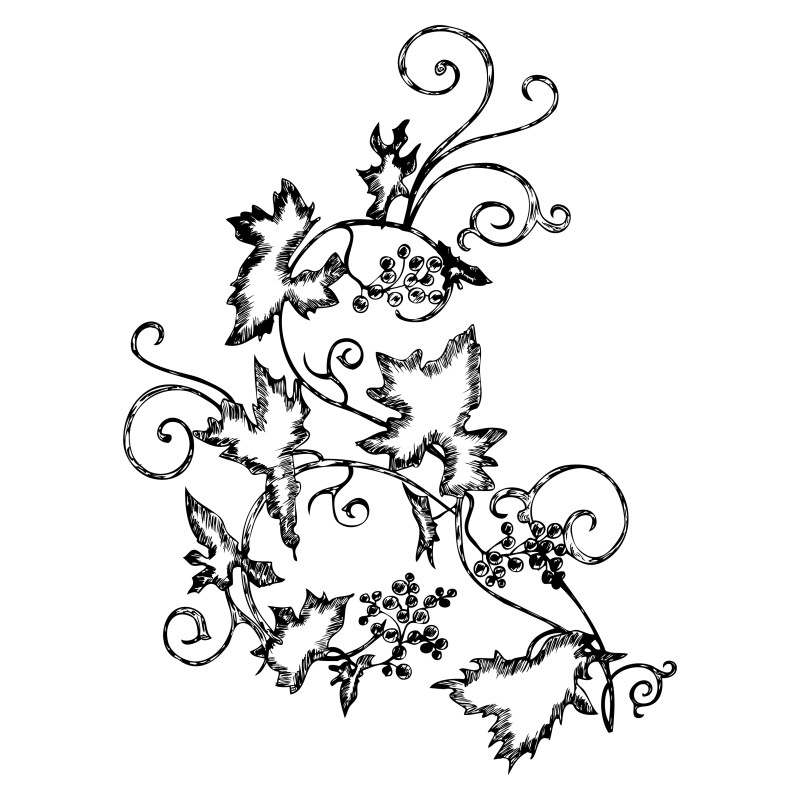 Hand Drawn Floral Design Image