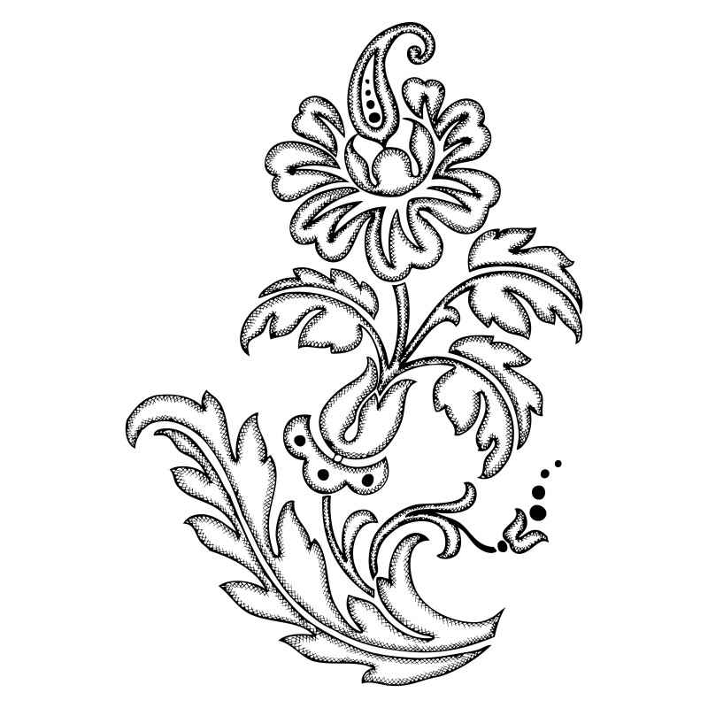 Hand Drawn Floral Vector