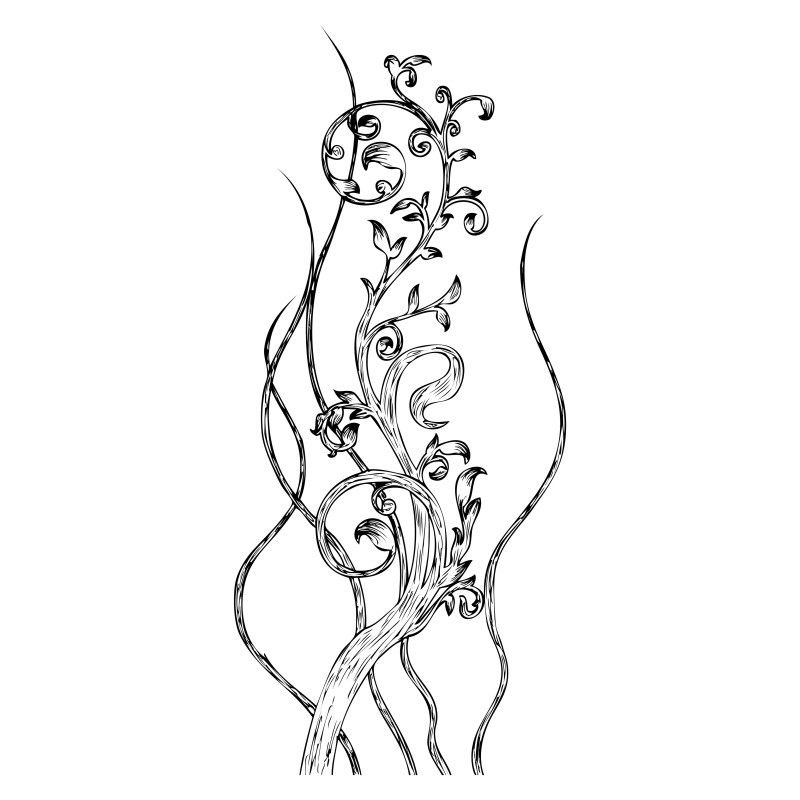 Hand Drawn Floral Vector Image