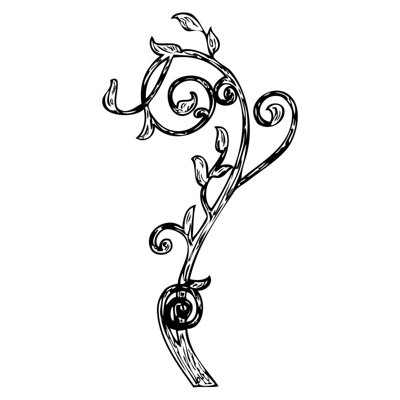 Hand Drawn Floral Vector Image