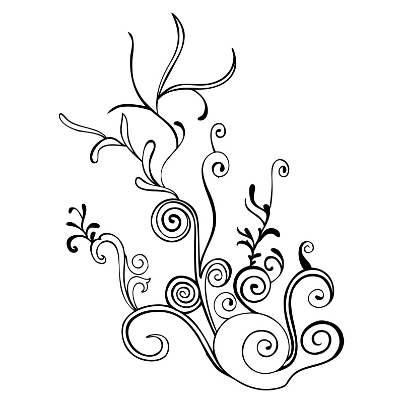 Hand Drawn Floral Vector