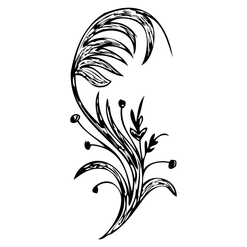 Hand Drawn Floral Vector Image